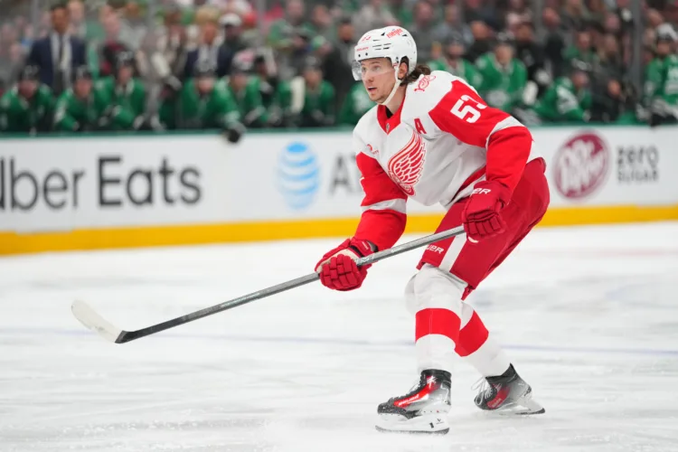 Friends Together named Detroit Red Wings Charity of the Game